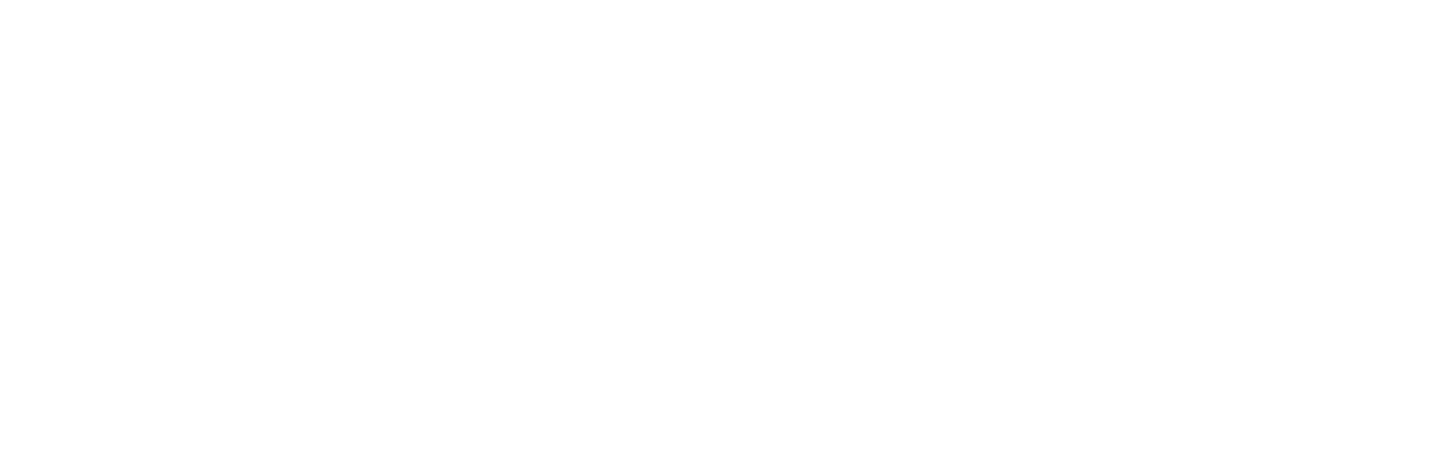 allot-logo-white