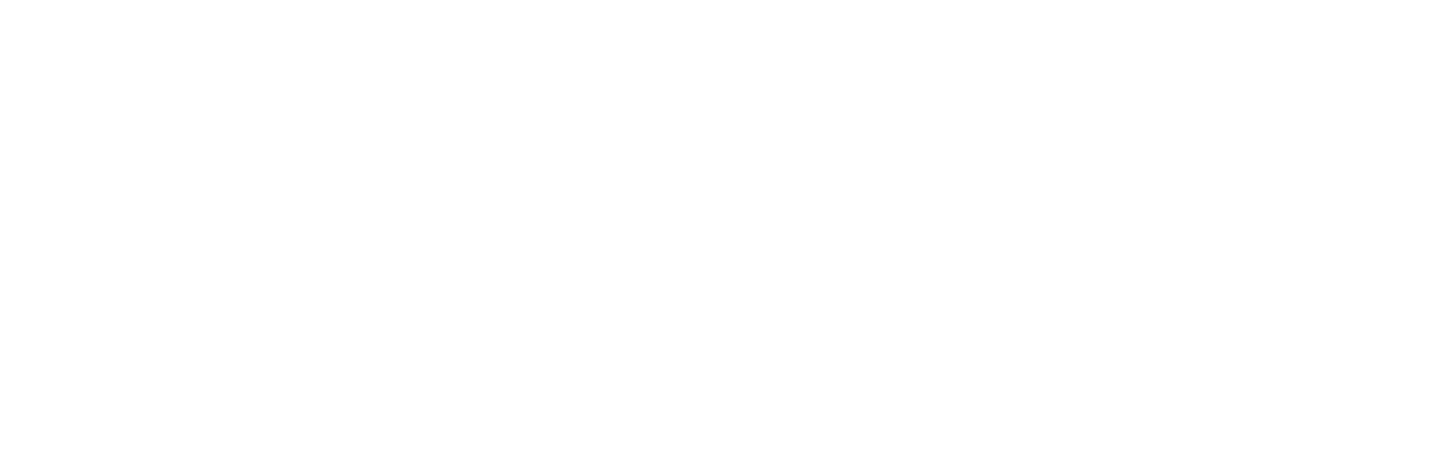 blueforce-logo-white